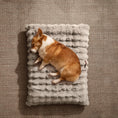 Load image into Gallery viewer, Fluffy Dog Bed with Removable Cover