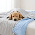 Load image into Gallery viewer, Reversible Lightweight Cooling Comforter