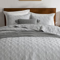 Load image into Gallery viewer, 100% Cotton Framed Quilt