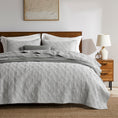 Load image into Gallery viewer, 100% Cotton Framed Quilt