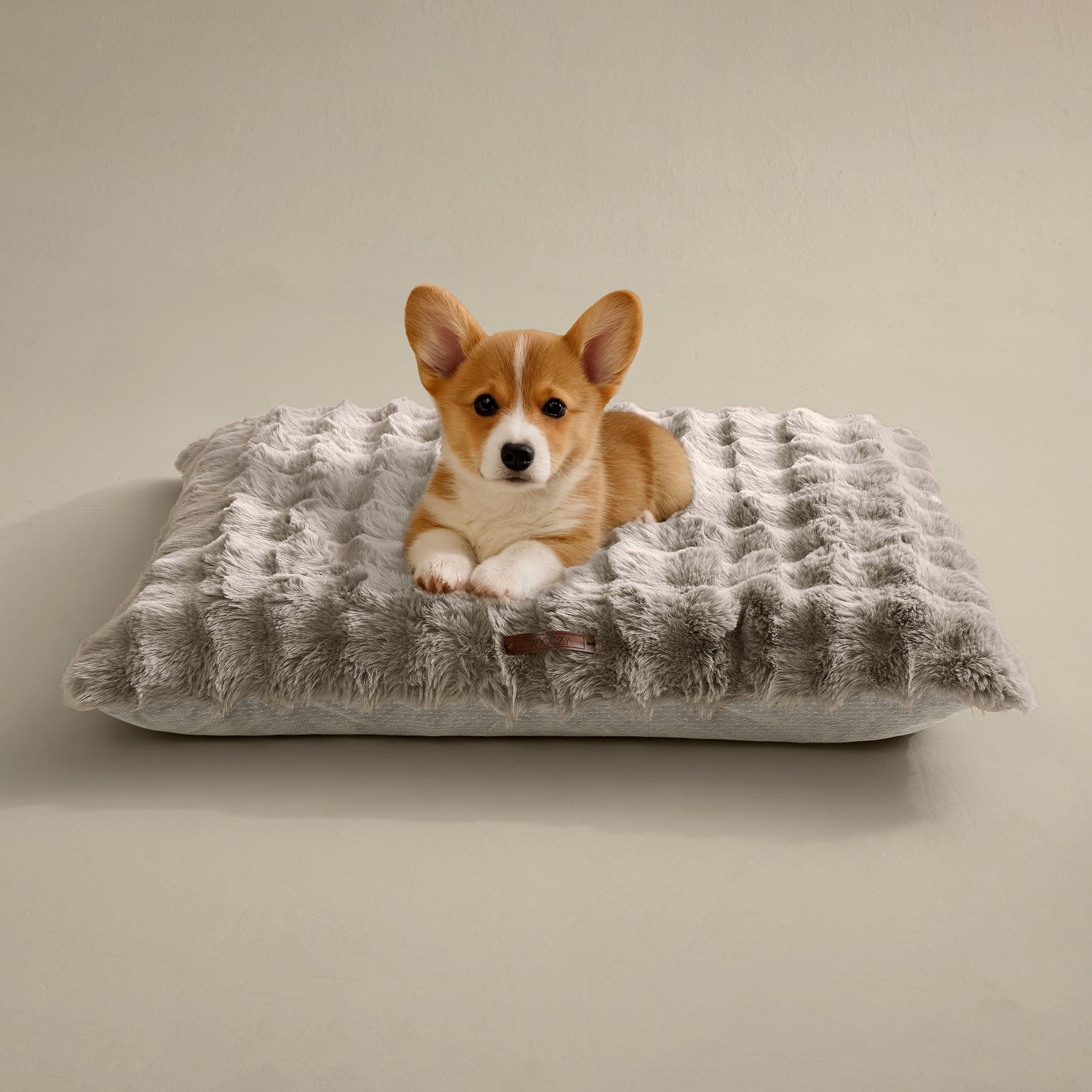 Dog Bed