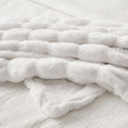 Load image into Gallery viewer, Fluffy Faux Fur Throw Blanket
