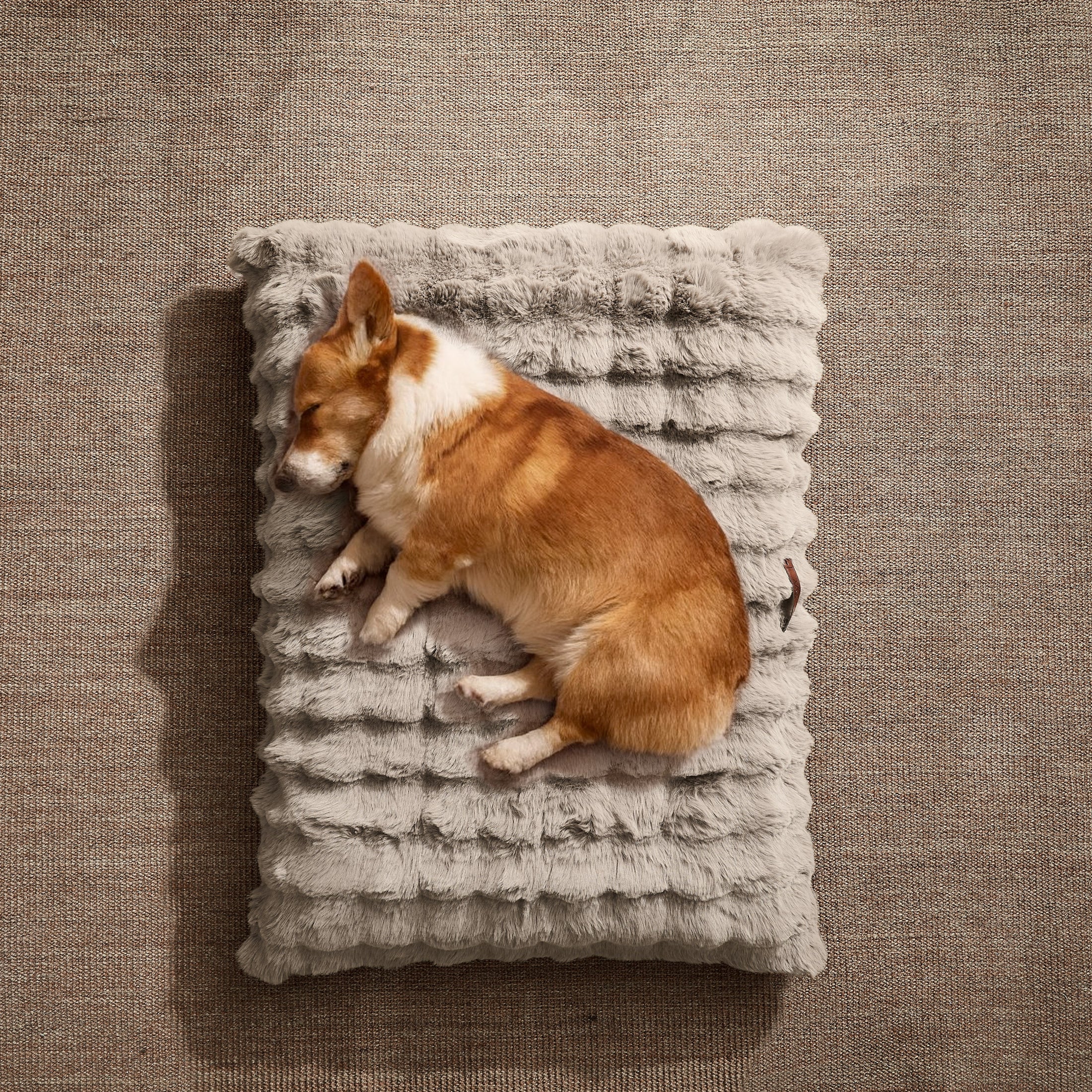Fluffy Dog Bed with Removable Cover