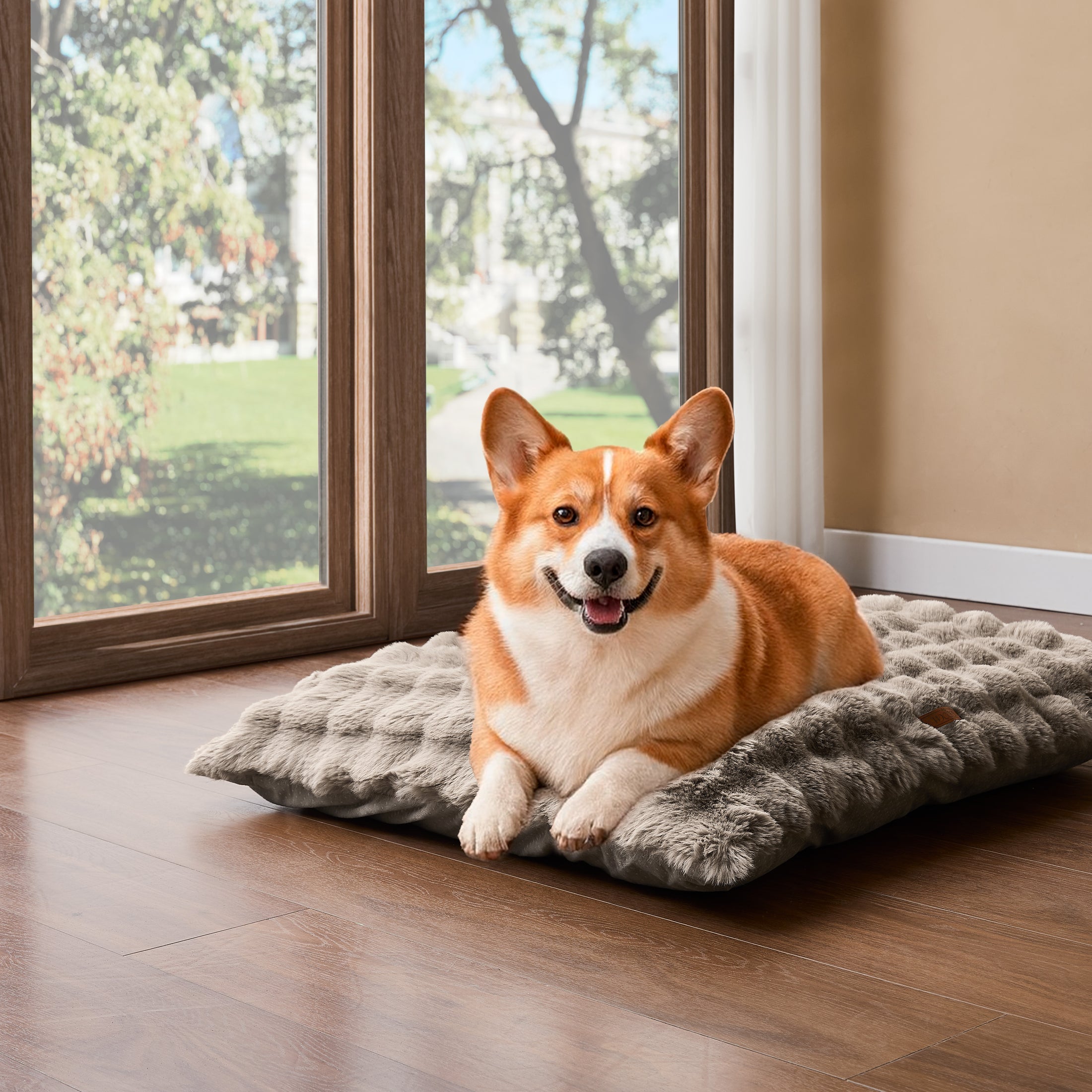 Fluffy Dog Bed with Removable Cover