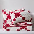 Load image into Gallery viewer, 100% Cotton Vintage Farmhouse Block Print Quilt (Red/Blue)
