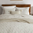 Load image into Gallery viewer, 100% Cotton Framed Quilt
