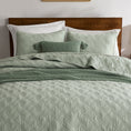 Load image into Gallery viewer, 100% Cotton Framed Quilt
