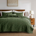 Load image into Gallery viewer, 100% Cotton Framed Quilt
