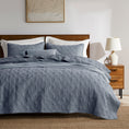 Load image into Gallery viewer, 100% Cotton Framed Quilt
